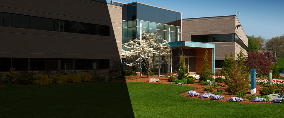 Mosinee Landscapers