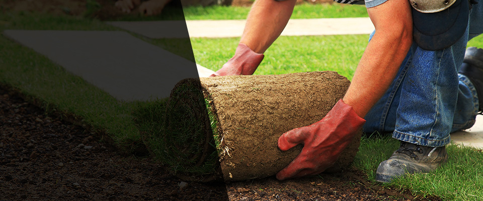 Mosinee Landscapers